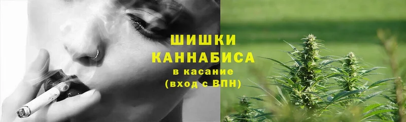 OMG tor  Россошь  Конопля Ganja 